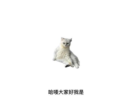 为什么一年是365天?#世界真相 #科普 #每天跟我涨知识 #冷知识