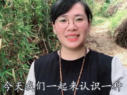 3克这种植物鲜叶,就能使人产生幻觉?曼陀罗毒素到底有多厉害?