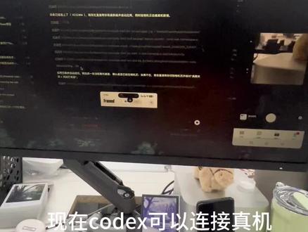 codex还是太全面了