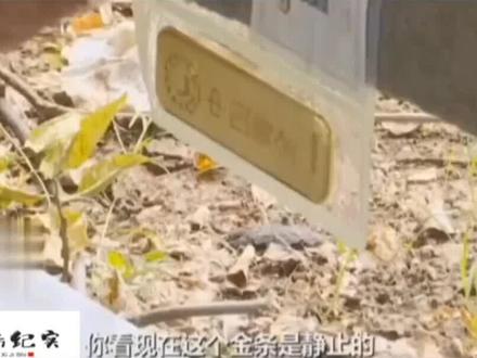 磁铁能吸住的黄金#涨知识