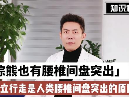 正经科普,直立行走是人类腰椎间盘突出的原因