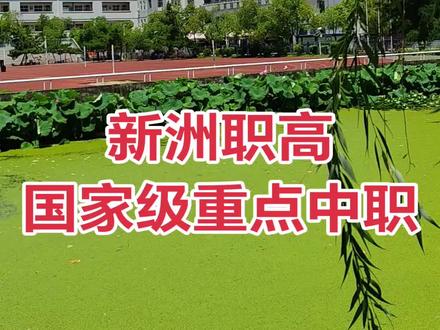 国家级重点中职新洲职高👍
2025届高考再攀新高又创辉煌!
高分各专业全面超越。技能高考满分700分,600分以上46人,其中专业满分10人,本科过线130人🔥🔥🔥其中一本28人,稳居全市三甲、全省前十名!
农学专业张语珊以650分勇夺获全省状元,陶哲649分、杨晨632分、刘士楷624分,分列全省衣学专业第一、第二、第四、第六名。社艺专业程果以626分全省第四,计算机专业童郁雯655分全省第五,机械专业董文畅623分全省第十,各专业共7人进入全省前十名!
多学科、专业全新突破。多种类、多学科、多专业全新突破,建筑工程专业过本科线10人,医学类专业过本科线7人,社会文化艺术专业过本科线6人,电子商务专业过本科线5人。特别是计算机专业过本科线47人,其中信息2班过线30人,本科上线率60%,堪称“技考牛班”,取得历史最好成绩!职普融通班首届参加普通高考过本科线7人,2人冲击一本线!
升学通道全速畅通。2025届该校本科率7.14%,超全省平均值4倍。“3+2”中高职衔接升学102人,“高校单独招生考试”录取91人,专科过线率100%。
武汉问津职业学校踏实办学、实干办教育的经验证明,畅通学子就业、上学“双通道”,助每一位有志青年人生出彩