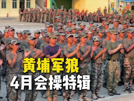 四月份汇操表演!#训练 #汇操 #表演