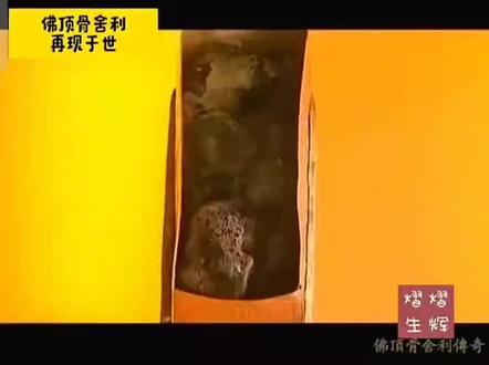 释迦牟尼佛佛顶骨舍利
#上热门 #舍利子 #南无阿弥陀佛 #真身舍利