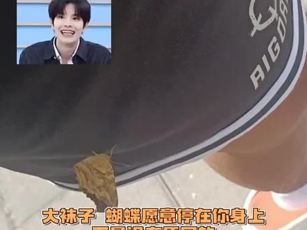 这个蝴蝶非得趴在裤子上 肯定是有原因的#搞笑 #抽象