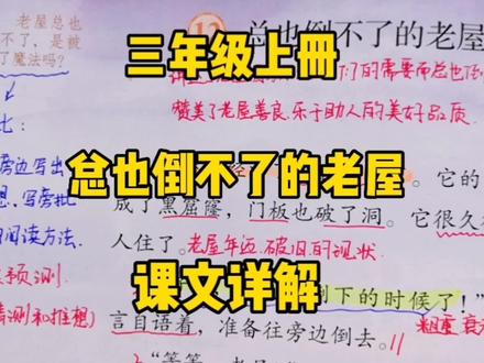 三上语文:《总也倒不了的老屋》课文详解,它是被施了魔法吗? #小学语文 #创作者扶持计划 #知识分享 #三年级语文