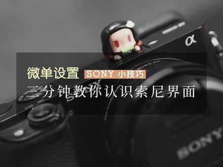 【全网实用干货】扔掉说明书,三分钟教会你认识索尼微单界面!