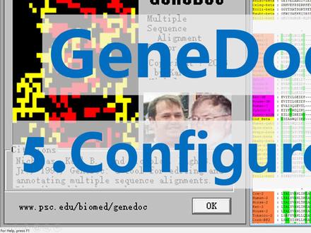 【四方居士】GD#5多序列比对美化软件GeneDoc项目参数配置二 #四方居士 #GeneDoc #DNA