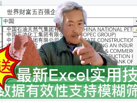 最新Excel实用技巧:让数据验证支持模糊筛选,百里挑一无难事 #excel技巧 #Excel实用案例