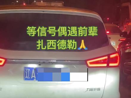 偶遇前辈,扎西德勒#抖音汽车 #力帆 #理想one