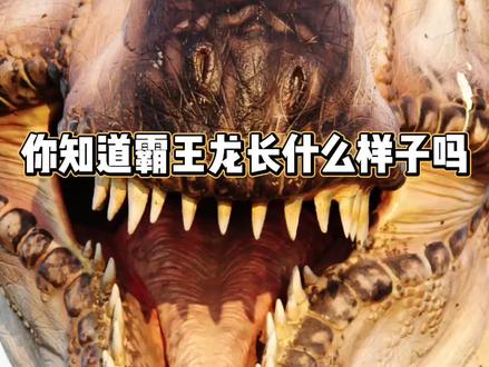 你知道霸王龙长什么样子吗?#神奇动物在抖音 #霸王龙化石 #关注我每天分享不同的故事 #地球科普知识分享 #真实事件