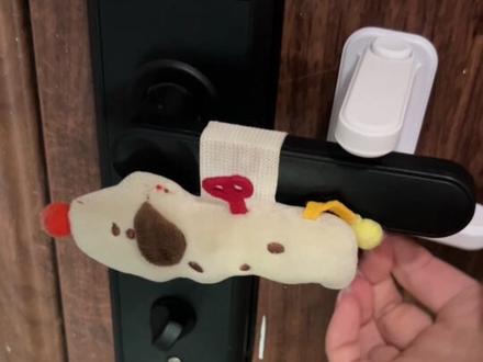 猫会开门怎么办!大家放心这下她绝对跑不出去了!#会开门的猫 #防人不防猫 #猫