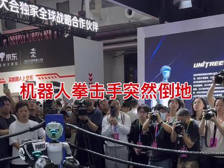 2025机器人展会拳击比赛#比赛现场