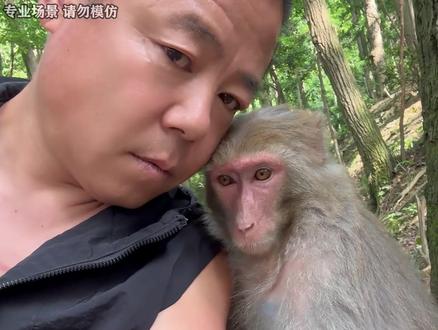 网络人物志第45期 行者服不服 #抽象 #人物志 #猴子 #关爱野生动物