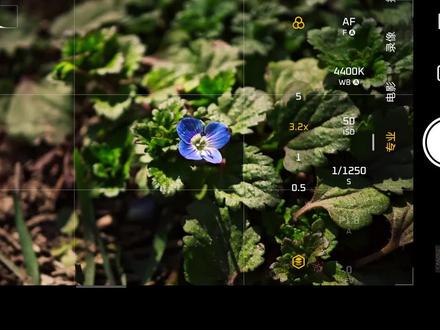 学会了专业模式,拍照就变得有趣了起来。#手机拍照 #手机拍照教程 #小米14