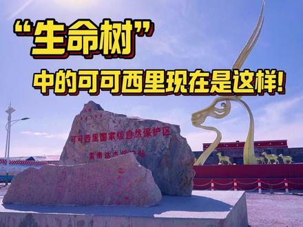这是青海,这是“可可西里”!所以“生命树”中的美是真的! #青海美好推荐官 #徐州tom #可可西里 #生命树 #时常被生命树感动