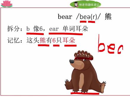 panda熊猫、bear熊单词记忆自然拼读发音,精通版英语六年级上册 #零基础英语 #自然拼读 #单词速记