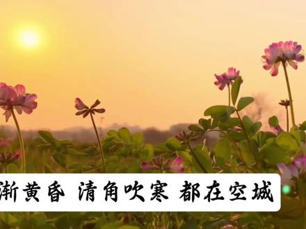 春风十里的出处~过春风十里,尽荠麦青青。 《扬州慢·淮左名都》
南宋•姜夔
淮左名都,竹西佳处,解鞍少驻初程。
(翻译)扬州是淮河东边著名的大都城,竹西亭那一处也是绝佳的名胜之地,我初到扬州,解下马鞍,在此短暂停留。
过春风十里,尽荠麦青青。
(翻译)走过昔日繁华的十里扬州路,如今满眼看到的全是丛生的荠菜和青青的野麦。
自胡马窥江去后,废池乔木,犹厌言兵。
(翻译)自从金兵进犯长江离去以后,这里破败的城池、古老的大树,似乎还在厌恶说起那场残酷的战争。
渐黄昏,清角吹寒,都在空城。
(翻译)天色渐渐黄昏,凄清的号角声在寒风中回荡,回荡在这一片荒凉的空城之中。
杜郎俊赏,算而今重到须惊。
(翻译)曾经那位才华横溢、善于鉴赏美景的杜郎(杜牧),如果他如今再来这里,看到这破败的景象也一定会大为震惊。
纵豆蔻词工,青楼梦好,难赋深情。
(翻译)纵然他写得出“豆蔻梢头二月初”那样精妙的诗句,有着“十年一觉扬州梦,赢得青楼薄幸名”那般美好的过往,面对如今的扬州,也难以抒发往日的深情了。
二十四桥仍在,波心荡、冷月无声。
(翻译)那二十四桥依然还在,桥下的水波荡漾,只有清冷的月光映照在江面上,寂静无声。
念桥边红药,年年知为谁生?
(翻译)遥想桥边的红芍药花,每年依旧盛开,可又有谁知道它是为谁而生、为谁而艳呢?#中华好诗词 #好看的花一定要分享给你 #春风十里 #扬州 #姜夔