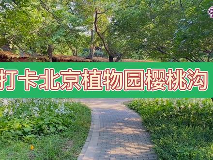 北京植物园樱桃沟 #北京植物园#北京北京 @抖音小助手@北京旅游 #旅游
