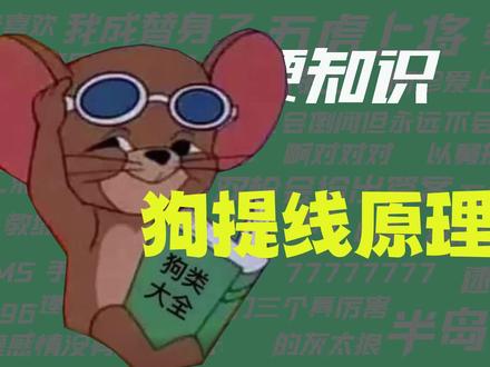 【梗知识】狗提线原理 #梗