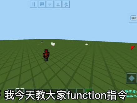 function指令详解,赞过5公开函数包#我的世界 #游戏日常 #fyp