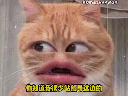 你知道我很少站领导这边的#上班#领导 #万万没想到 #女生 (素材来源:胡来拍小剧场)