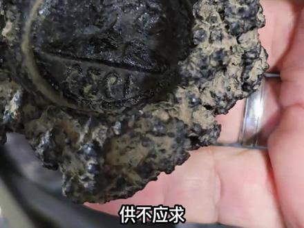 工人打捞滚烫的熔岩,稍加创作,竟开启了致富之路 #奇闻趣事 #科普 #有趣的冷知识