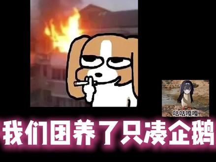 谁家的凑企鹅🐧 #三角洲护航 #三角洲行动 #咕咕嘎嘎