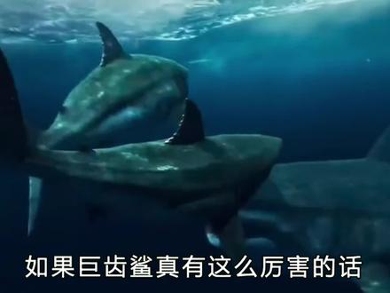 别太神话巨齿鲨,再大也是战五渣 #蓝鲸 #巨齿鲨 #远古生物 #海洋生物