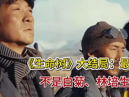 《生命树》大结局:最聪明的人出现,不是白菊、林培生,是赵之进