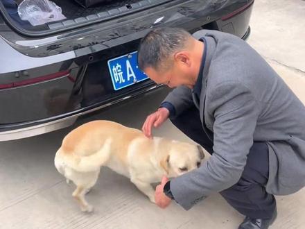 狗子:半夜被自己的前途亮的睡不着觉#搞笑 #离谱 #娱乐评论大赏 #万万没想到