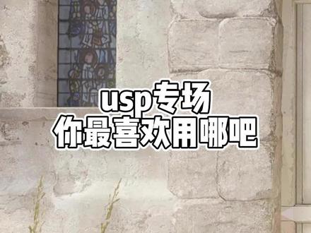 usp专场#csgo#csgo饰品