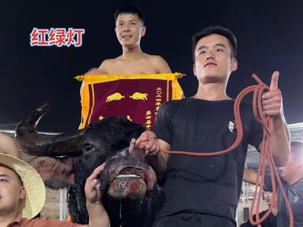 恭喜钢铁战士牛王夺冠云顶A组冠军20万大奖#牛气冲天