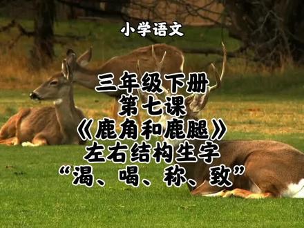 小学语文三年级下册第七课《鹿角和鹿腿》左右结构生字“渴、喝、称、致”字书写方法和要点讲解#小学语文 #小学语文生字 #三年级下册语文#三年级下册语文同步生字#三年级下册语文预习