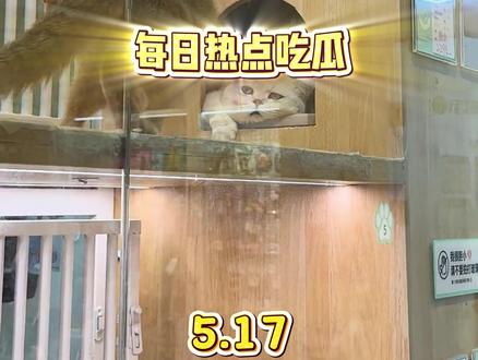 5月17日每日热点吃瓜 #热点 #热点新闻事件 #豆包