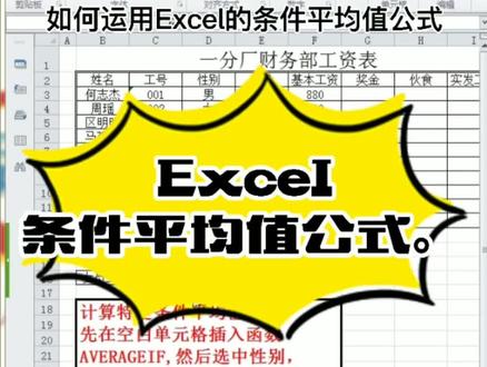 教你如何运用excel的条件平均值函数。#office办公技巧 #excel技巧 #excel教学