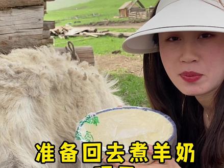 新疆人必学科目,挤奶,不会别说是儿子娃娃,哈哈哈#手挤奶 #挤牛奶 #牧区生活 #打卡阿勒泰 #喀纳斯 @遇见阿勒泰 #人与动物和谐共处