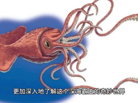 深海霸主:大王酸浆油的神秘统治!