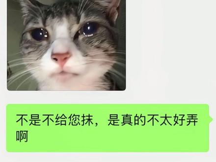 误闯天家#三角洲 #三角洲行动 #聊天记录 #蚀金玫瑰 #洲学长