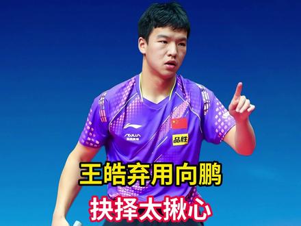 王皓弃用向鹏,1个关键抉择太揪心!,背后藏着多少无奈?