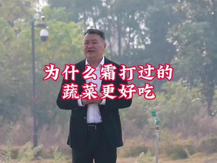 霜打菜的秘密#霜降 #糖水 #冰冻