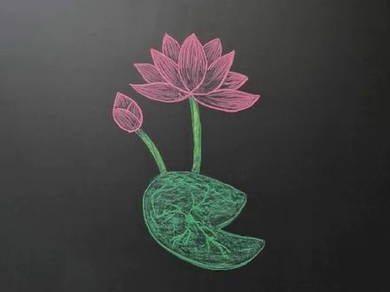 夏至已到,又到了赏荷花的季节#萌知计划 #粉笔画 #简笔画 #黑板画 #画画 @DOU+小助手