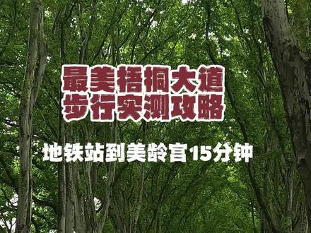 最美梧桐大道步行攻略 从苜蓿园地铁 1 号口出发✨
步行 350 米抵达梧桐大道
1.3km 到美龄宫,2.5km 直达中山陵
完整实测钟山步行路线:
地铁口左右路线指引、景区售票处、小火车点位
南京大排档美食、明孝陵 3/4/5 号入口
长生鹿苑、盖章打卡点、公共厕所、网红望虹桥
全部路标细节一一标注
全长 600 米最美梧桐大道
中速步行直达美龄宫,全程仅需 15 分钟
不走冤枉路,来南京直接抄作业✅
网红桥详细路线,下期更新~#南京 #梧桐大道 #美龄宫 #紫金坊 #十朝文化园