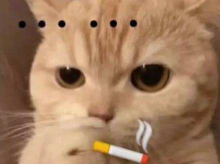 免费的权威教程它来了!#教程来了 #微信代码 #有趣的知识又增长了