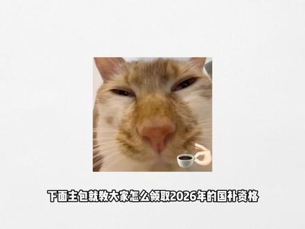 所有人可以使用国补啦! 所有人可以使用国补啦,因为2026年国补已经官宣1月1号无缝衔接,首批资金就高达625亿,但是只有部分地区将在1月1号准时上线,他们分别是北京,上海,浙江,四川,广东,江西,河北,吉林,福建,江苏,重庆,部分地区则是要等到1月下旬陆续上线#国补 #国家补贴 #数码科技 #笔记本 #手机