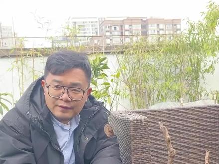 这种十年的阳光玫瑰大苗你是不是很心动?且慢,咱们和小苗对比下,看谁长得好!#果树苗 #新农人计划