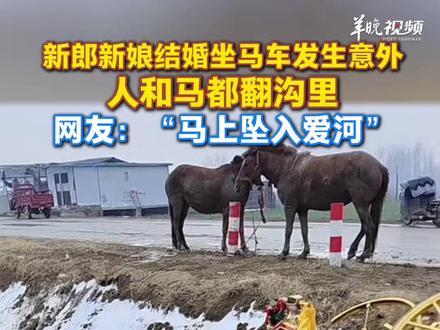 新郎新娘结婚坐马车发生意外,人和马都翻沟里,目击者:新郎新娘均未受伤。网友:“马上坠入爱河”(编辑:林润祺;审签:周乐瑞)