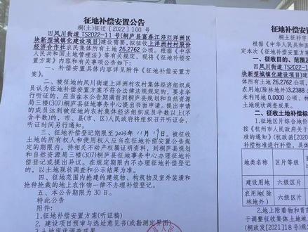 上下洋洲这次看去真的要动手了,那皇甫反复交代的事情,你们要听听进去的!#拆迁补偿 #安置工作 #拆迁户的烦恼 #最美县城桐庐#桐庐皇甫带你看房