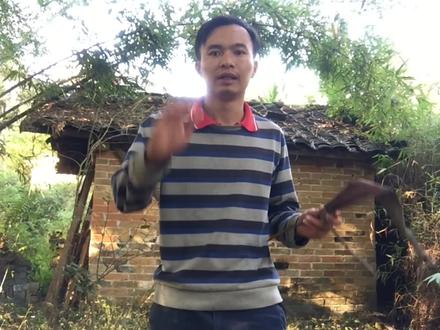 这棵被人们忘却的植物谁认识?消炎止痛的好帮手,一起了解它!