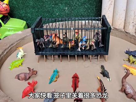 认识三角龙、霸王龙 #动物玩具 #霸王龙